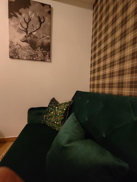 Zöld kanapé és szarvasos falikép
